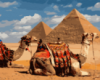 Картина за номерами «Символи Єгипту» 40х50см