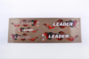 Наклейки (набор) LEADER (48х16см, бронзовые) EVO