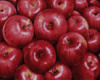 Картина за номерами «Червоні яблука» 40х50см