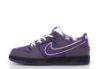 Чоловічі кросівки Nike SB Dunke Low x Concepts Purple Lobster (41-45)