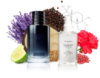 DC Sauvage - Parfum Analogue 110ml