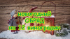 НОВОГОДНИЙ ОБРЯД НА 12 ВИНОГРАДИН