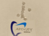 Кнопка лингвальная круглая керамическая прозрачная ApogeyDental *Цена за 1 шт