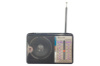 Радиоприемник Golon RX-606AC (173-RX606-40pcn)