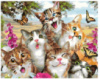 Картина за номерами «Сім'я котячих» 40х50см