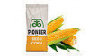 Семена кукурузы, Pioneer, P8521