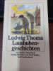 Lausbubengeschichten von Ludwig Thoma