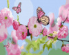 Картина за номерами «Метелики у квітах сакури» 40х50см
