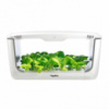 VEGEBOX HOME - крытый гидропонный сад Vegebox™ by BioChef - Home Box