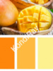 Краситель сухой концентрированный Спелое манго