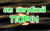 ОТ ПАГУБНОЙ ПОРЧИ