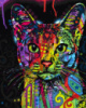 Картина по номерам «Абісинська кішка» 40х50см