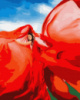 Картина за номерами «Жінка у червоному» 40х50см