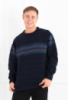 Чоловічий темно-синій светр