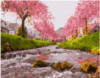 Картина за номерами «Річка у сакури» 40х50см