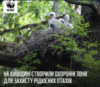 ​За ініціативи WWF-Україна на Київщині створили охоронні зони для захисту рідкісних птахів!