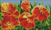 Схема для вышивки Солнечные тюльпаны