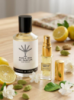 Parle Moi De Parfum Gardens of India/79 2 ml