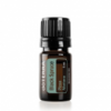 Черная ель, эфирное масло doTERRA / Black Spruce ESSENTIAL OIL (Picea mariana) 5 мл