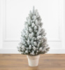 Лапландська засніжена 90 см маленька ялинка лита в горщику Сіга Груп