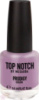 Лак Top Notch Top Notch Prodigy Nail Color 14 мл 269 MIND & SOUL