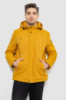 Куртка чоловіча демісезонна з капюшоном, колір жовтий, 244RL9159AL