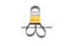 Ремінь полікліновий 6PK1460 Ford Connect (-AC),Opel Combo 1.2-1.4i -01 CONTINENTAL