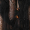 Паутина с пауками на Хэллоуин 5220 черная 20 г 2 паука