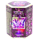 Игровой набор для выращивания кристаллов GRK-01 GROWING CRYSTAL Аметист