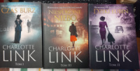 Czas burz / Dziki łubin / Niespokojne niebo. Tom 1-3 - Charlotte Link