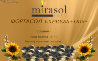 ФОРТАСОЛ EXPRESS+ OR6+