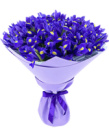 ІРИС Blue magic, замовити квіти, букет, доставка квітів Ⓜ️Оболонь Magic Trio ♥️
