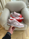 Nike SB Dunk Teddy Bear Pink