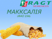 Макксалія