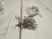 Тичинки квіткові з глітером срібло 3 мм,100 тичинок в пучку