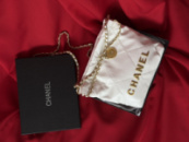 Жіноча сумка Chanel 22 Mini Handbag білий
