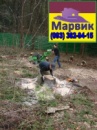 расчистка участка Киев