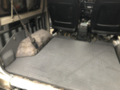 Коврик багажника без задних сидений (EVA, черный) для Toyota Land Cruiser 70