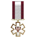 Медаль «За зцілення людських душ»