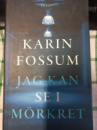 Jag kan se i mörkret - Karin Fossum
