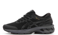 Демісезонні чоловічі кросівки Asics Air Gel Kayano 27 Gore-Tex (41-45)