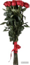 Троянда Голландська ♥️, магазин квітів на подолі, букет квітів, замовити доставка ⭐