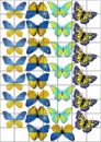Цукрові картинки Метелики (жовто - блакитні) (5 варіантів)