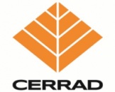 Клінкерна плитка та сходи, плитка на фасад CERRAD / Церрад