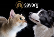 Сухой Корм для котов и собак Savory