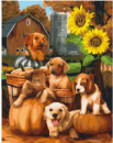 Картина за номерами «Собачки у соняшника» 40х50см