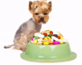 Ветпрепараты, Витамины, Добавки для Собак