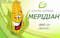 Мерідіан