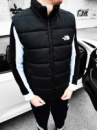 Чоловіча жилетка The North Face
