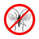 ІНСЕКТИЦИДИ (засоби боротьби з комахами)